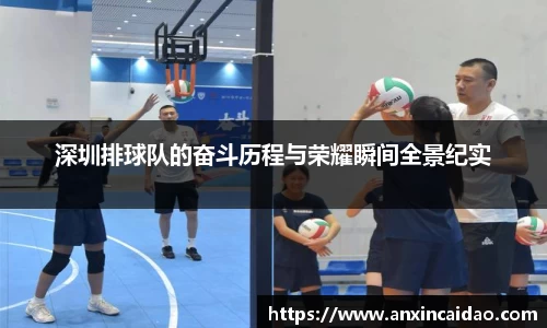 深圳排球队的奋斗历程与荣耀瞬间全景纪实