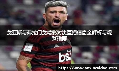 戈亚斯与弗拉门戈精彩对决直播信息全解析与观赛指南